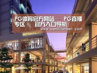 案例展示一