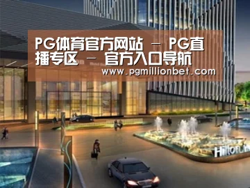 案例展示二